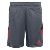 Adidas TIRO ES SHO Y, djecije hlace, siva VK115
