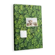 tulup.si Plutovinasta tabla Narava gozdnega drevesa 40x60 cm Lesene zatiči