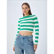 MixRay Pulover Pullover zelena