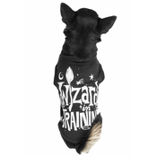 Pasja obleka KILLSTAR - Wizard In Training - Črna - KSRA004760