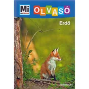 Erdő