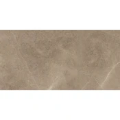 Elegant Taupe 30x60