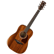 Akustična gitara Ibanez - AW54JR w/Bag, Open Pore Natural
