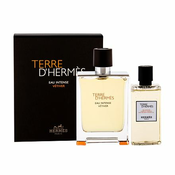 Hermes Terre D´Hermes Eau Intense Vétiver parfemska voda 100 ml za muškarce