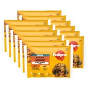 Pedigree Senior Mešan izbor v želeju 12 x (4 x 100 g)