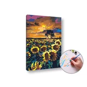 Slikanje po številkah SUNBOW | srednja težavnost - 60x40 cm - raztegnjeno platno na okvirju