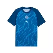 PUMA Iceland Warmup Jersey Men, Performance, Clyde Royal/Haute Tropic, L