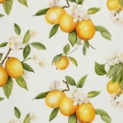 ZUNANJI OKRASI OXFORD - Citrusi - DX2540