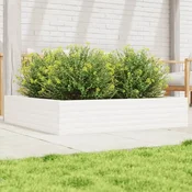 vidaXL vidaXL Vrtno cvetlično korito belo 110x110x23 cm trdna borovina, (21266370)