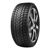 Delinte WD6 ( 205/50 R17 93H )