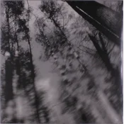 Loess - Totems (Limited Edition) (LP)