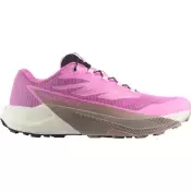 Salomon S/Lab Pulsar