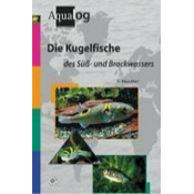 Die Kugelfische des Süß- und Brackwassers