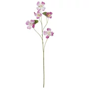 Dekozweig Bauhinia I Pink/braun