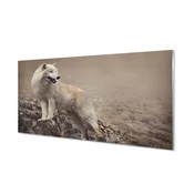 tulup.si Stenska plošča za kuhinjo Volk gore 140x70 cm