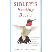 Sibley's Birding Basics