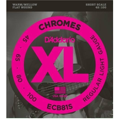 DAddario ECB 81S Chromes Bass Regular Light 45-100