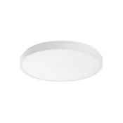 RABALUX led plafonjera Alenzo 71431