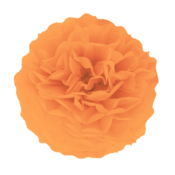 Papirnat pompon – oranžen 15 cm