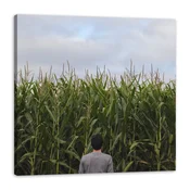 shumee Platno s tiskom Narava Koruzno polje 80x80 cm