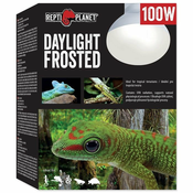 REPTI PLANET žarnica Daylight Frosted, 100 W