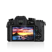 INF Zaščitna folija za zaslon fotoaparata Panasonic GH4 AR, 2 kosa, (5000076182)