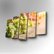 WALLXPERT Dekorativna slika iz 5 delova 5PUC 064