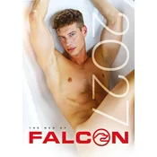 The Men of Falcon 2027