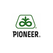 Suncokret Pioneer P64LP140