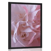 Plakat nageljnovi cvetovi - 40x60 black