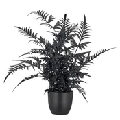 Mömax Umetna Rastlina Pteris Ii -Paz-
