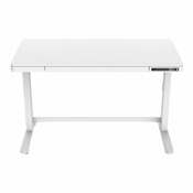 DIGITUS - desk - rectangular - white