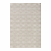 Siva zunanja preproga NORTHRUGS Coin, 200 x 290 cm