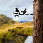 Atelier Del Sofa Dekorativna figura Bird On The Branch 03, 55x22 cm , 1.5 mm