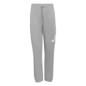 Adidas J BL FT PT 280, djecije hlace, siva KRJ87