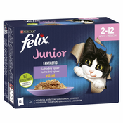 Felix Fantastic Junior delicious selection 12x85 g