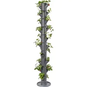 Gusta Garden Jagoda - Sissi Strawberry Infinity - Antracit