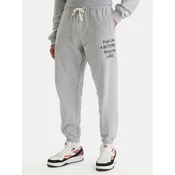 RVCA Spodnji del trenirke Va X Ali 23A123500 Siva Relaxed Fit