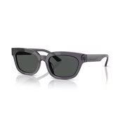 Ladies Sunglasses Emporio Armani EA 4233U