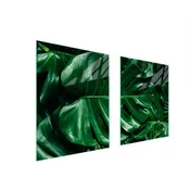 shumee ZAŠČITNA STEKLENA PLOŠČA ZA ŠTEDILNIK 85x52 MONSTERA