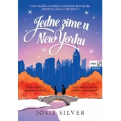 Jedne zime u New Yorku