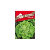 SEME ROYAL SEEDS 87 Solata Majska kraljica