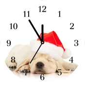 tulup.si Steklena ura Puppy Cap Santa Claus Zima Bele kazalke