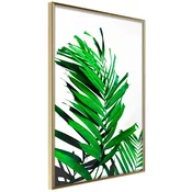 Poster - Emerald Palm 40x60