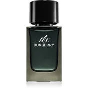 Burberry Mr. Burberry parfemska voda 100 ml za muškarce
