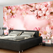Samoljepljiva foto tapeta - Magical Cherry Blossom 196x140