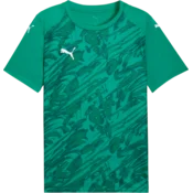 Puma Dres teamFINAL Graphic