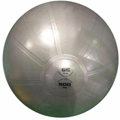 Toorx žoga za gimnastiko pro 65 cm, siva AHF-148