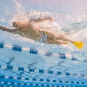 Finis edge fins m/l