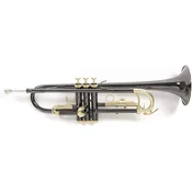 Roy Benson TR-101K Bb trobenta (Kot novo)